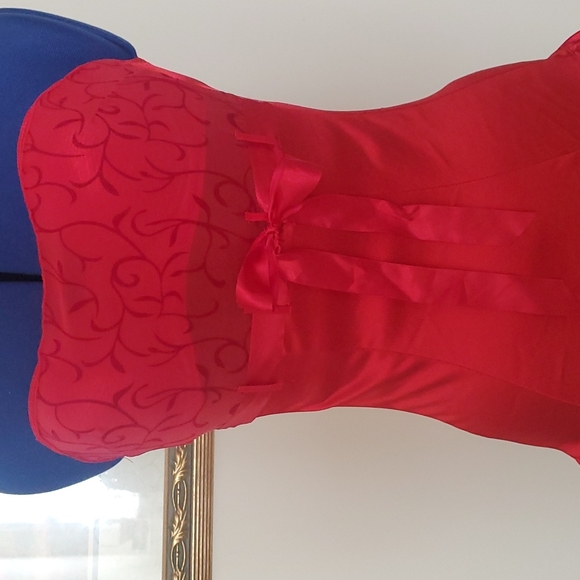 Gorgeous red teddy - Picture 2 of 8